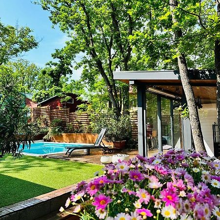 Pine-Wood Resort Balatonalmádi Extérieur photo