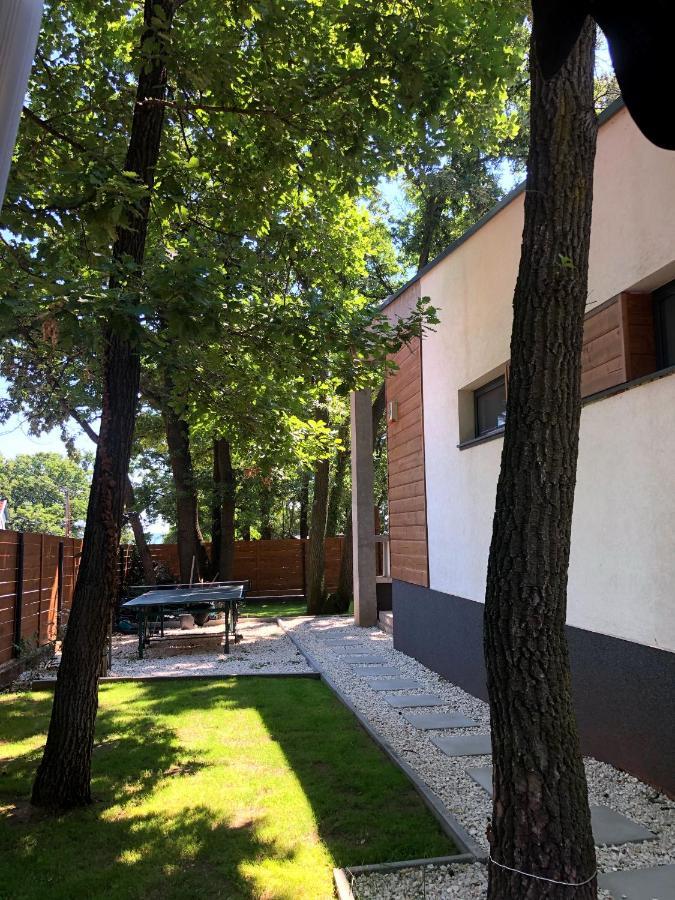 Pine-Wood Resort Balatonalmádi Extérieur photo