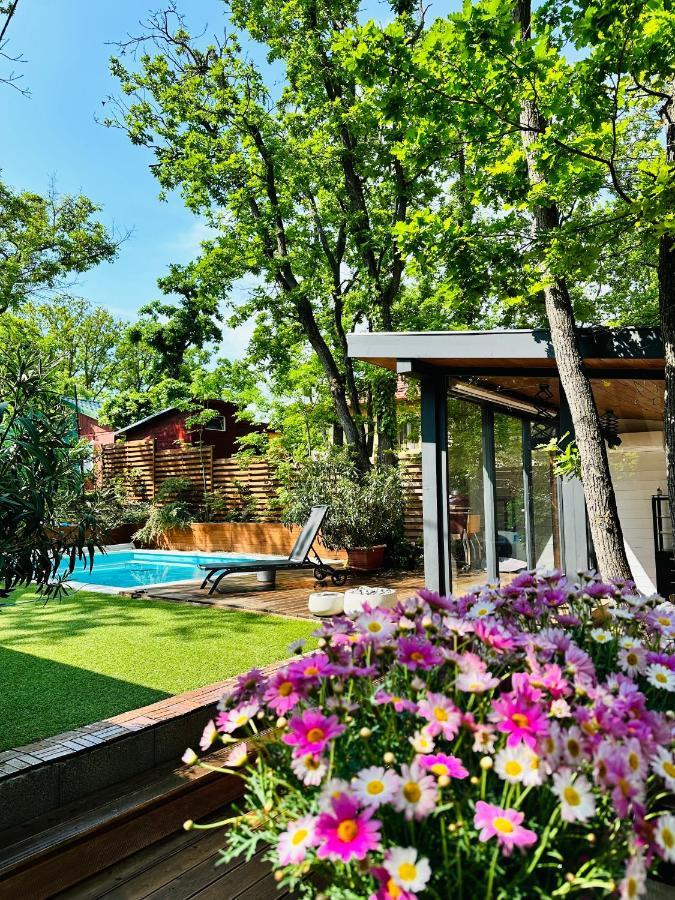 Pine-Wood Resort Balatonalmádi Extérieur photo